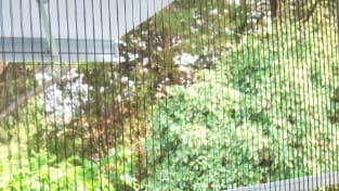 Gros plan moustiquaire fenêtre