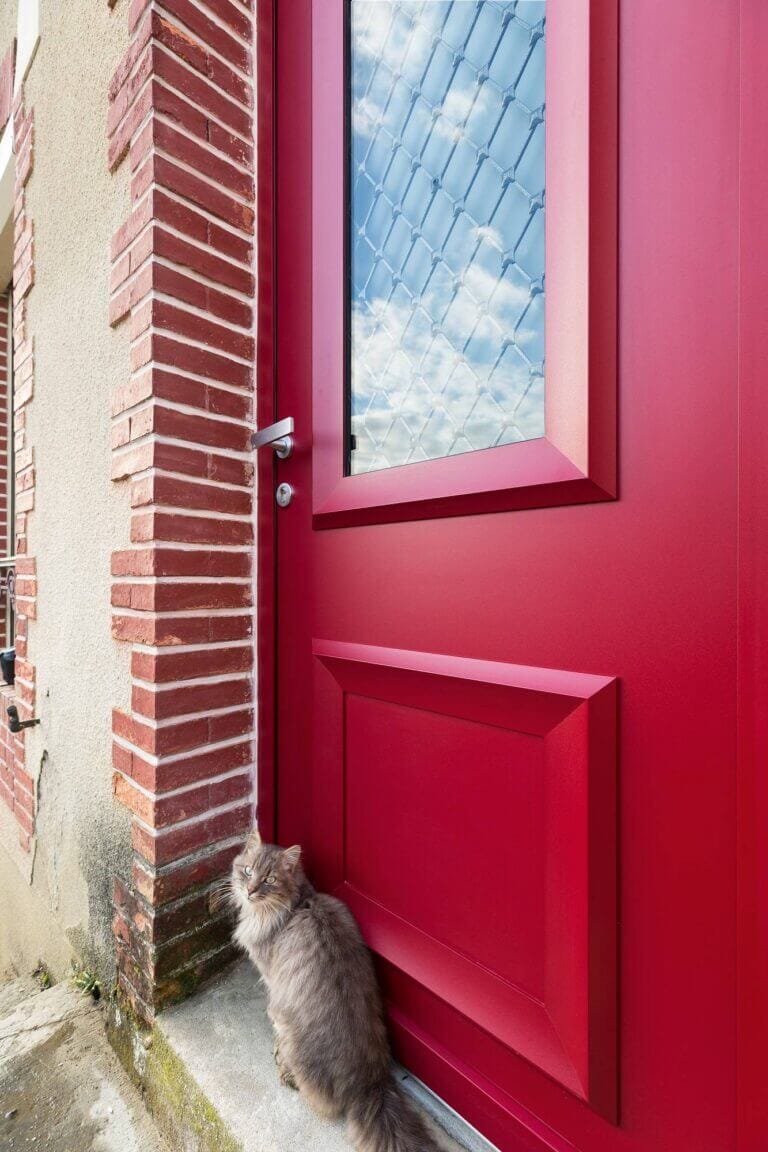 Porte aluminium avec petit chat