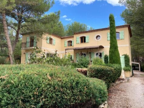 Volet battants et Alu vert pâle